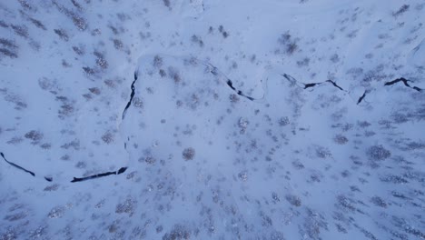 Von-Oben-Nach-Unten-Video-Eines-Schneebedeckten-Waldes