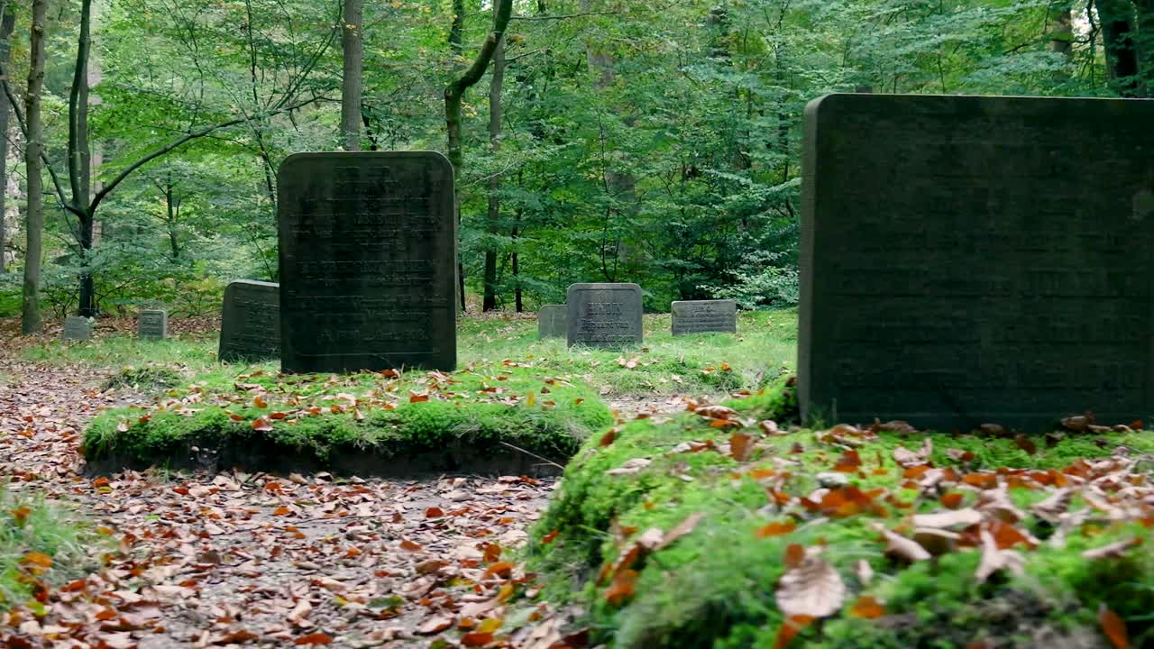 Gravestones in a forest cemetery
