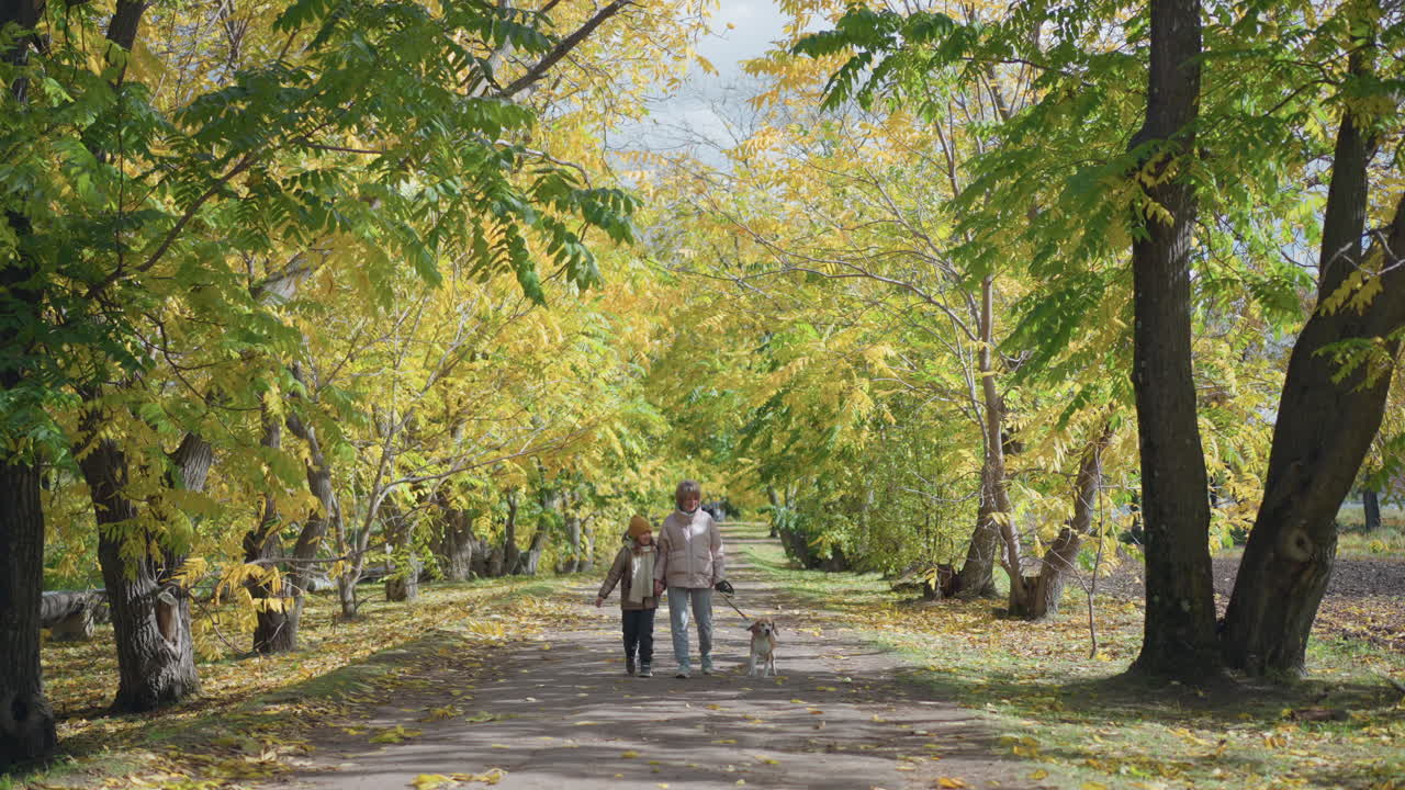 Woman and child walk side by side down forest path while dog on leash pulls ahead with playful energy, surrounded by vivid yellow foliage, sunlit trees, and fallen leaves on peaceful autumn day