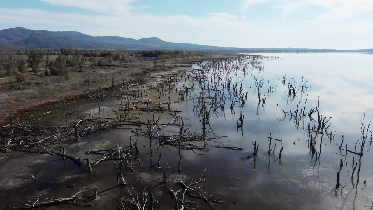 Riprese aeree con drone che catturano il paesaggio autunnale unico del Lago Doiran, con acque poco profonde, alberi spogli e la luce solare intensa che illumina la tranquilla riva.