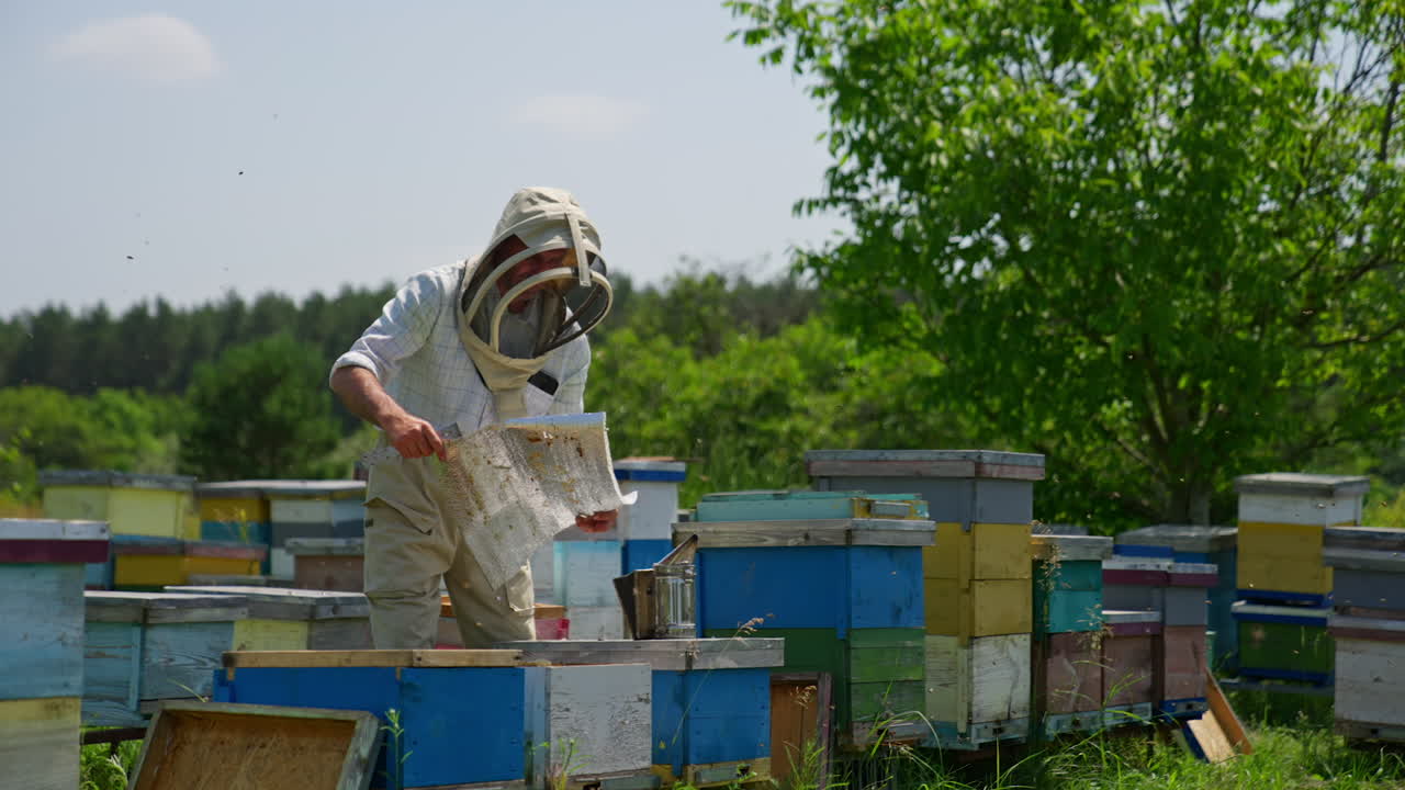 Male apiarist taking care of his farm on sunny day. Beekeeper covers the beehive with protective material. Green nature backdrop.