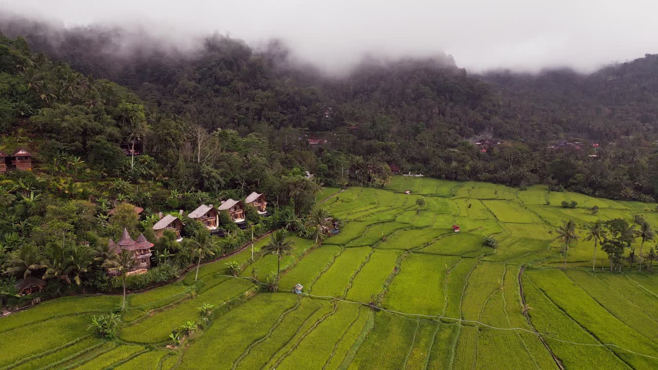 Aerial view of bamboo villas nestled in a misty Balinese valley. The low clouds and soft light create a moody tone over the rice fields, highlighting the harmony between nature and architecture