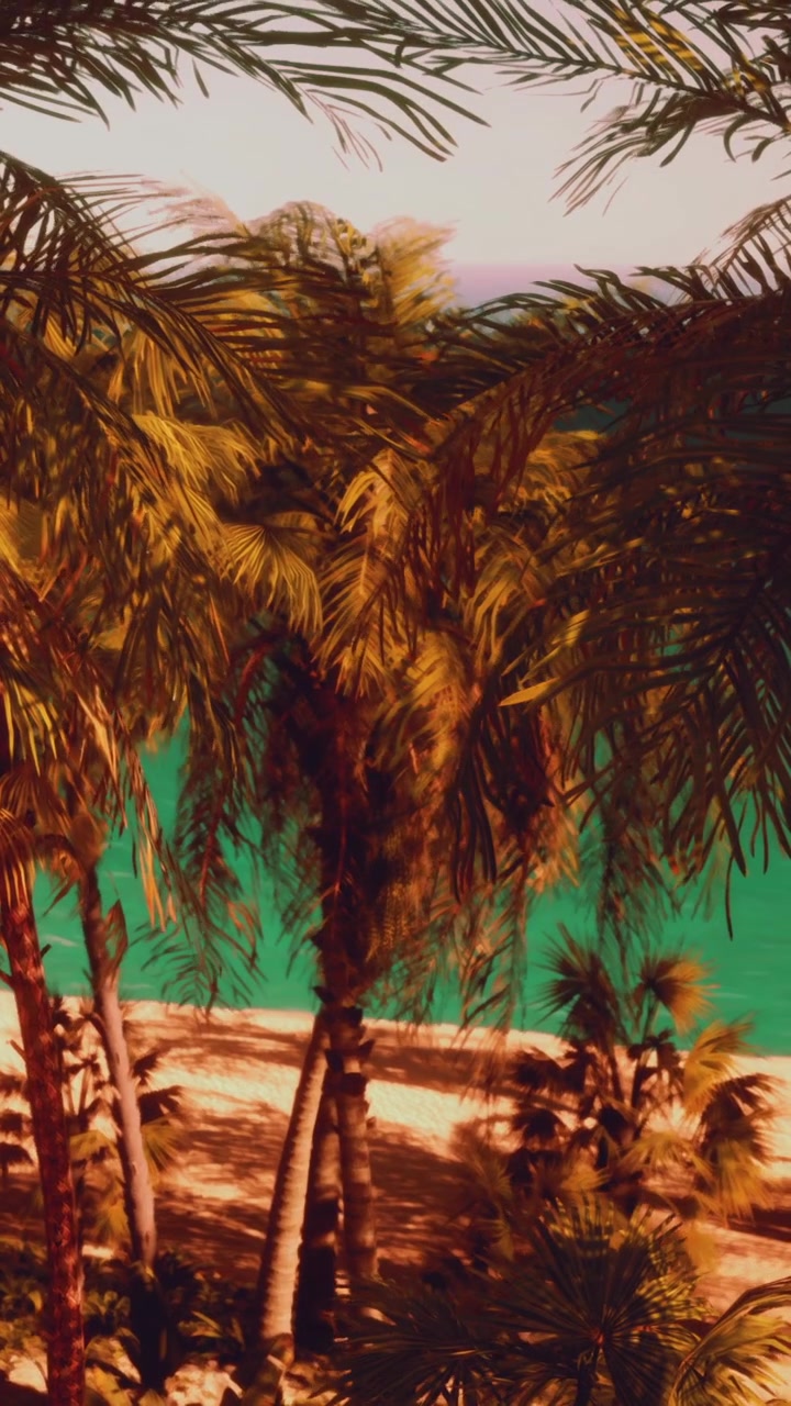 Palme incorniciano una scena di spiaggia tropicale con acqua cristallina al tramonto.