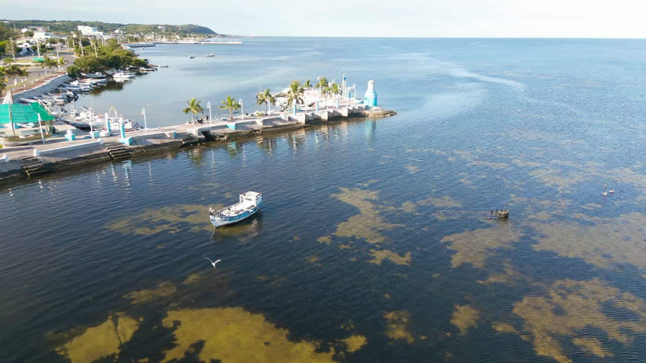 vista aérea de drones de la costa de campeche donde los pelícanos se sientan en un viejo barco colorido