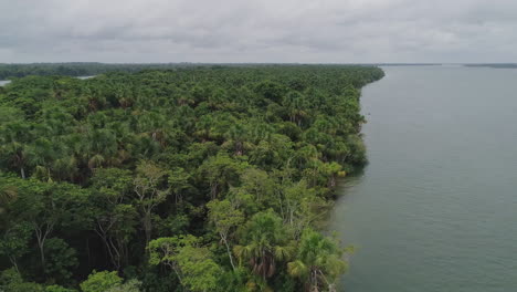 aerial shot over amazon forest and river - para, brazil