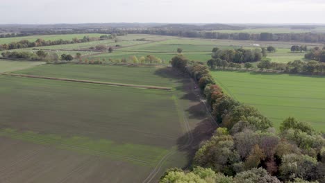 areal drone footage of farm fields and trees with autumn colors taken at place called uetz in brandenburg, germany