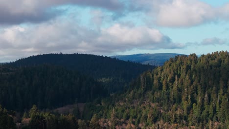 cinematic aerial drone shot over two hills covered in a redwood forest