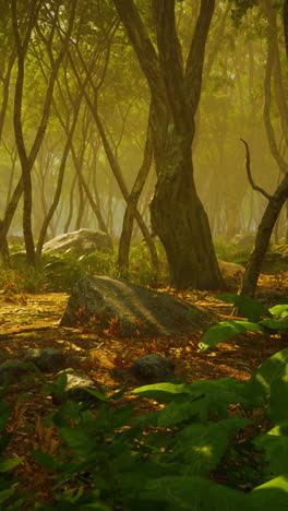 misterioso bosque de niebla