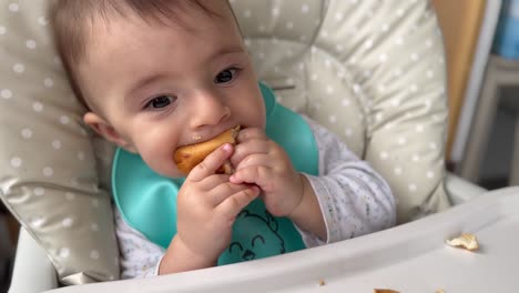 hungry baby eating bread at lunch time enthusiastically, baby led weaning