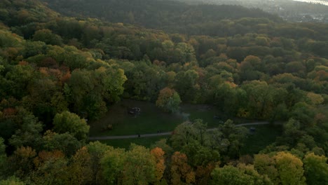aerial view of autumn forest park