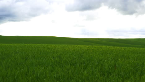 4k-drone-footage-of-a-beautiful-green-field