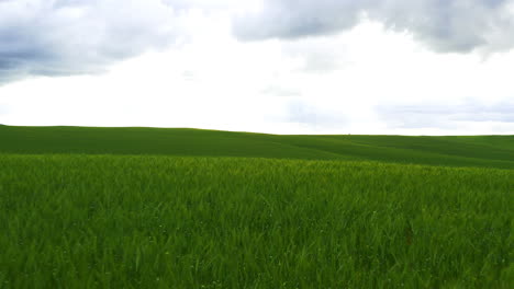 imágenes de drones de 4k de un hermoso campo verde