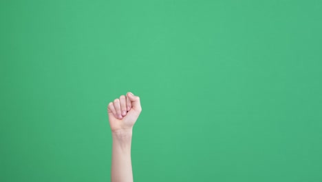 counting at fingers concept. raised kid hand showing 1, 2, 3, 4, 5 fingers up over chroma key green screen background