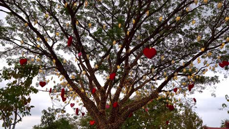 Red hearts hanging on a tree with many paper stars and lights twinkling at night. valentine's day concept