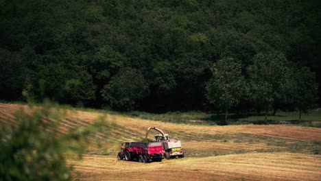 primavera en francia: un tractor cosechando los cultivos en un campo mientras las aves de rapiña dan vueltas por encima