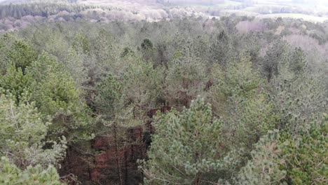 Vista-Aérea-Sobre-El-Bosque-De-Woodbury-En-East-Devon.