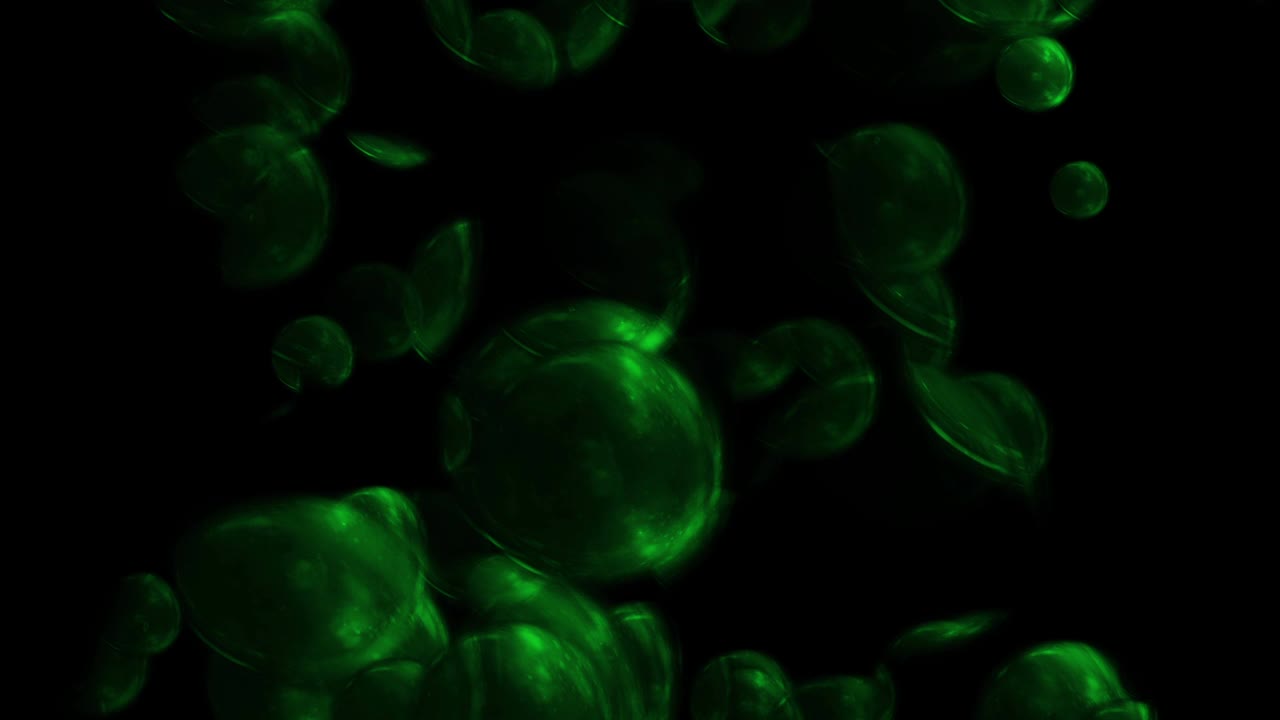 초록색은 집중 현미경 루프를 위한 화학입니다.