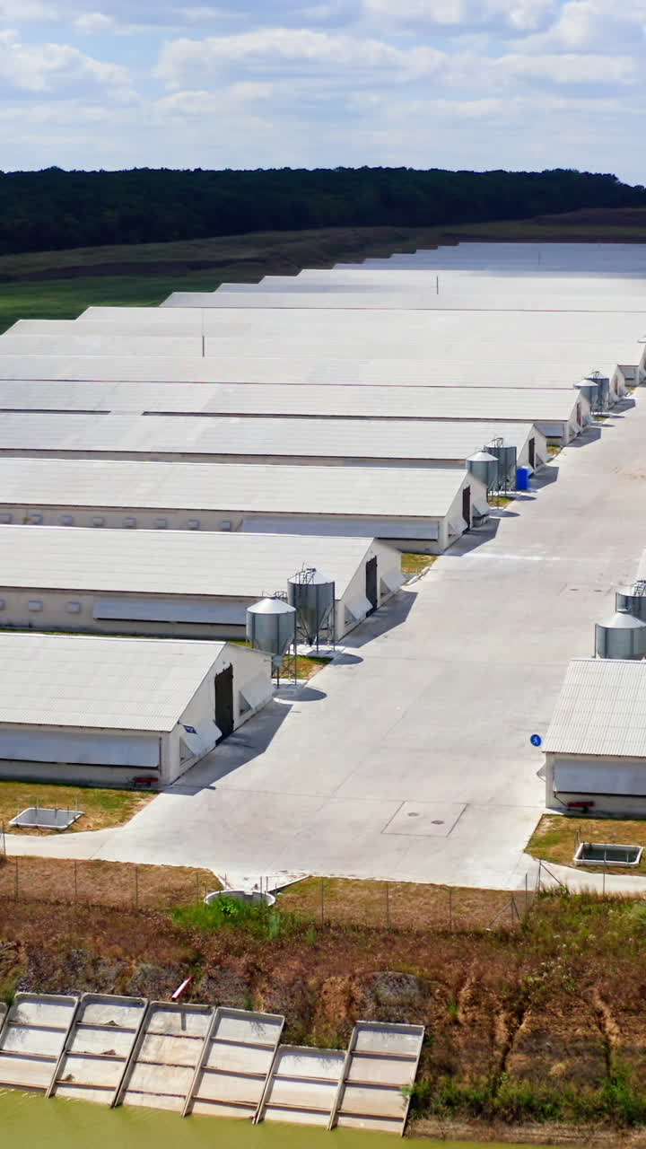 Contemporary farm complex in a sunny day. White barn houses on field on beautiful nature background. Aerial view. Vertical video