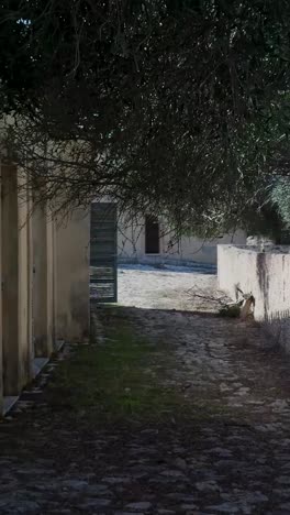 old stone alleyway in a mediterranean garden