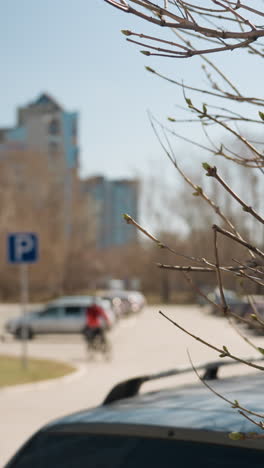 close view of budding tree branches in an urban parking lot, with modern buildings and parked cars in the background, with bokeh view of someone riding a bicycle