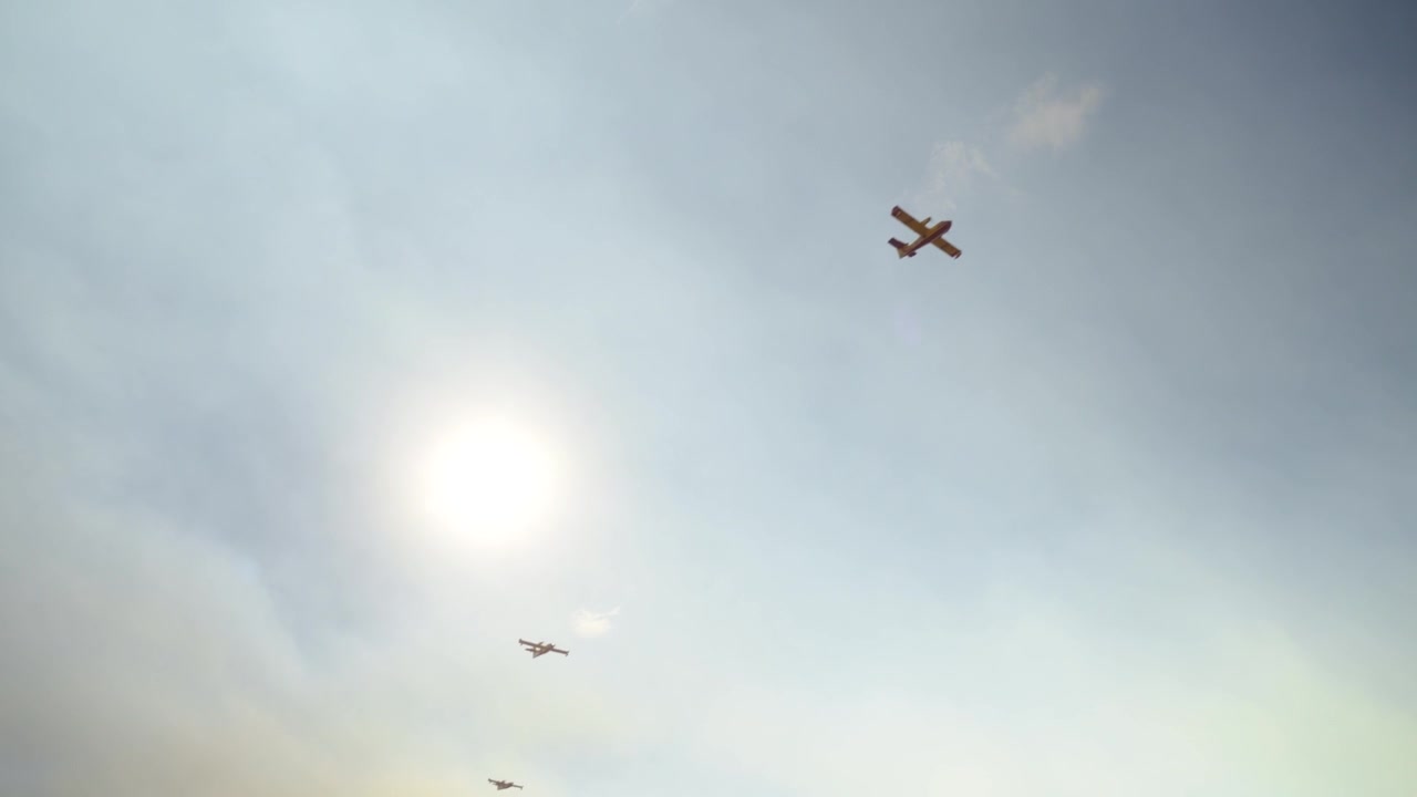 Canadair firefighting aircraft fly beneath bright sun through smoky sky above treetops, upward angle