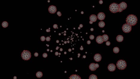 células de coronavirus covid-19 enfermedad infecciosa en fondo negro. transmisión rápida de la enfermedad. alta concentración de coronavirus. bucle de renderización 3d 4k con canal alfa
