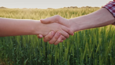 Two Farmers Shaking Hands Against The Background Of A Wheat Field