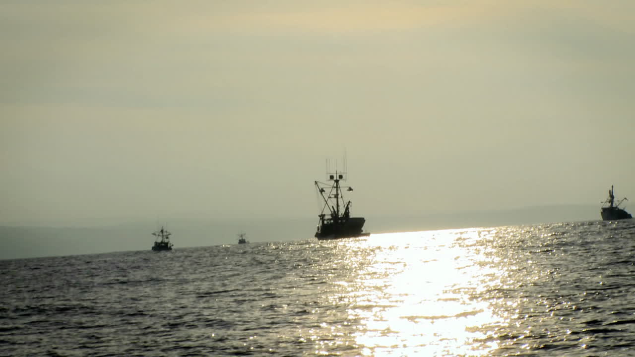 해가 지기 시작하면 보트가 물 위를 움직입니다.