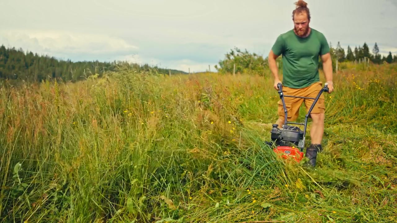 Homem cortando grama alta em uma paisagem rural, trabalhando ao ar livre para manter a vegetação densa em um cenário campestre gramado