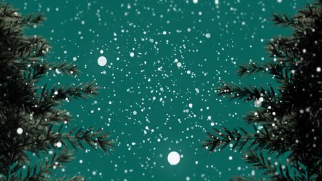 animation of snow falling over fir tree branches on green background