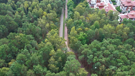 vista aérea de un camino sereno bordeado de árboles que atraviesa un denso bosque verde con indicios de asentamientos cercanos