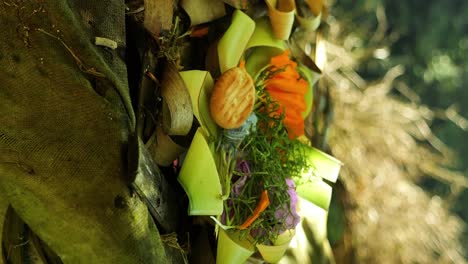 handheld shot of offerings caning sari as a sign of honor and gratitude to the gods on bali in indonesia in the middle of the jungle