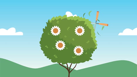 pruning a bush with garden shears