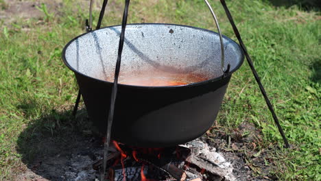 pot of steaming goulash cooking in iron pot