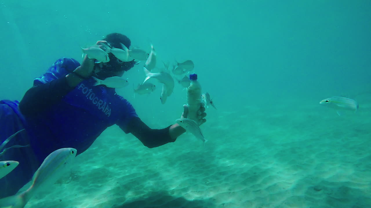 UNDERWATER SLOW MOTION: Detail of man taking photos swimming with various fish