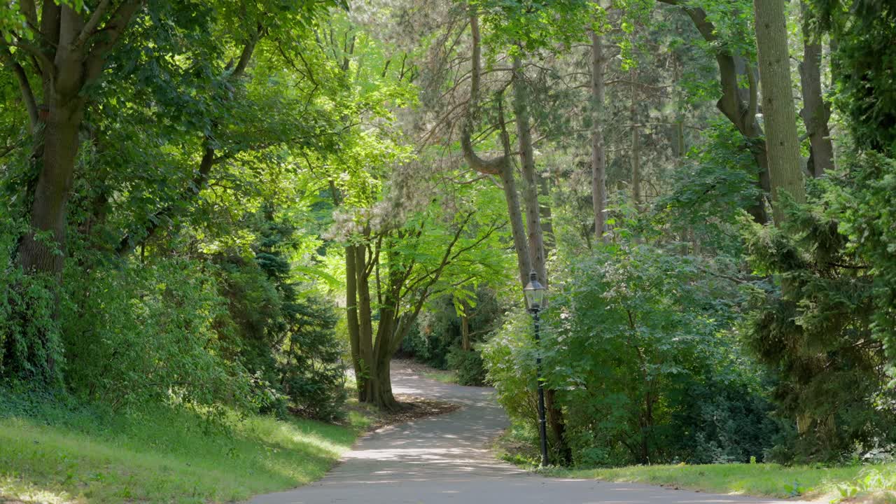 Pedestal shot of path in the middle surrounded by greenery in T&uuml;rkenschanzpark in Vienna during a bright sunny day at noon