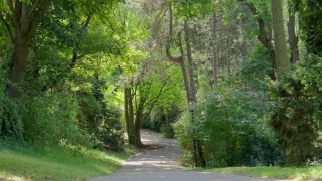 Pedestal-shot-of-path-in-the-middle-surrounded-by-greenery-in-Türkenschanzpark-in-Vienna-during-a-bright-sunny-day-at-noon