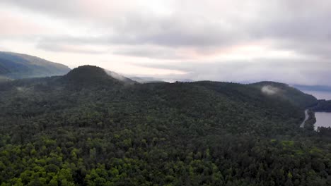 Vista-De-Pájaro-De-Un-Bosque-En-Maine-Usa