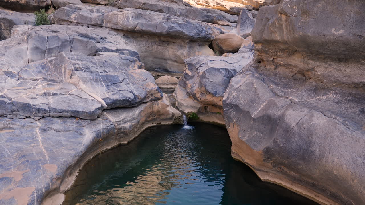 Paesaggio di un'oasi tranquilla nella campagna del Sultanato dell'Oman