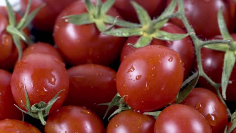 close-up and detailed shot pile of fresh tomato