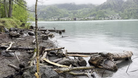 Alpine-lake-landscape-with-wooden-logs-and-a-woman-appearing-as-it-rains
