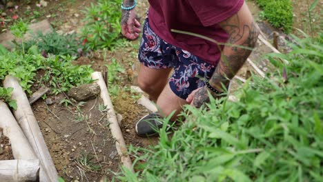 A-young,-fit,-healthy-man-with-tattoos-in-shorts-and-t-shirt-is-walking-up-bamboo-steps-of-a-stair-up-to-a-little-hill-as-part-of-a-backyard-of-a-farm