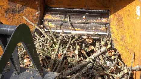 close-up of a front-end loader pushing branches into the mouth of a wood chipper