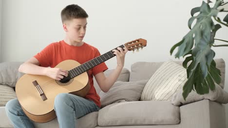 portrait of a handsome boy sitting on the couch and playing the guitar. stringed musical instrument. musical life.