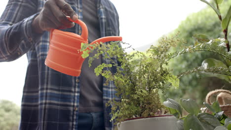 midsection of mature african american man watering plants in garden, slow motion