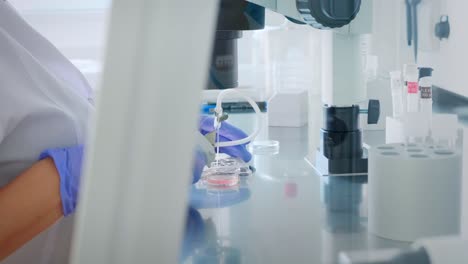 scientist working with cell culture and microscope in laboratory