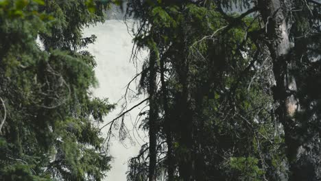 A-cinematic-shot-of-a-dense-forest-with-a-dramatic-waterfall-in-the-background