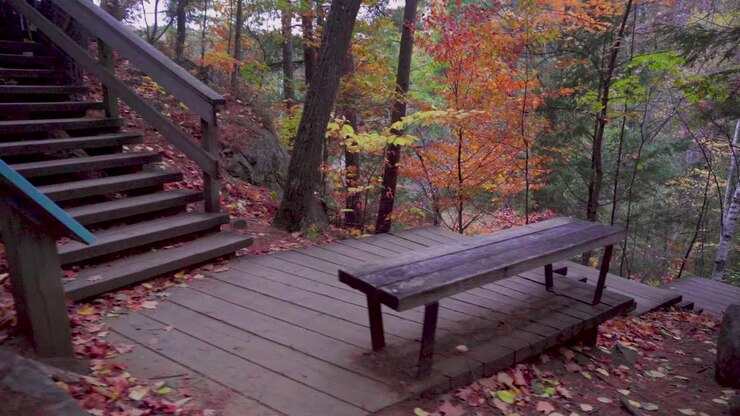 Side view of a bench and stairs on a trail in the Gatineau Hills in Quebec with autumn coloured leaves everywhere