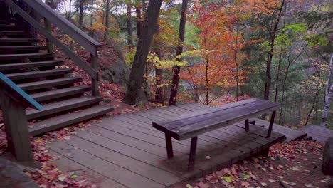 vista lateral de un banco y escaleras en un sendero en las colinas de gatineau en quebec con hojas de colores otoñales por todas partes