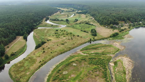 nemunas and merkys river confluence near town of merkine, aerial drone view